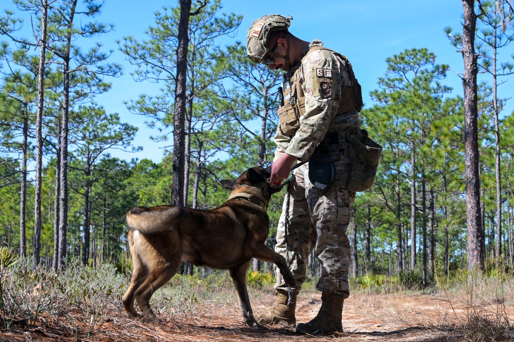 MWD explosive training