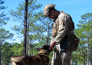 MWD explosive training