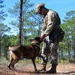 MWD explosive training