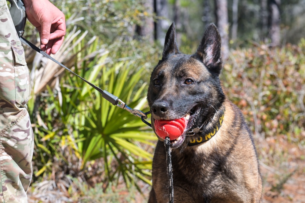 MWD explosive training