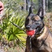 MWD explosive training