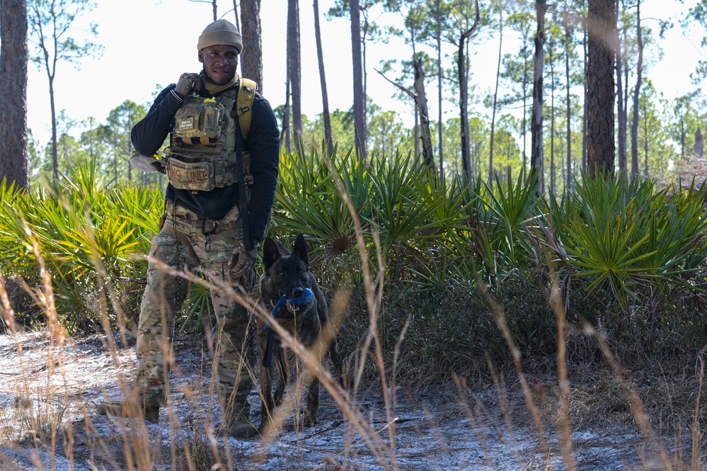 MWD explosive training