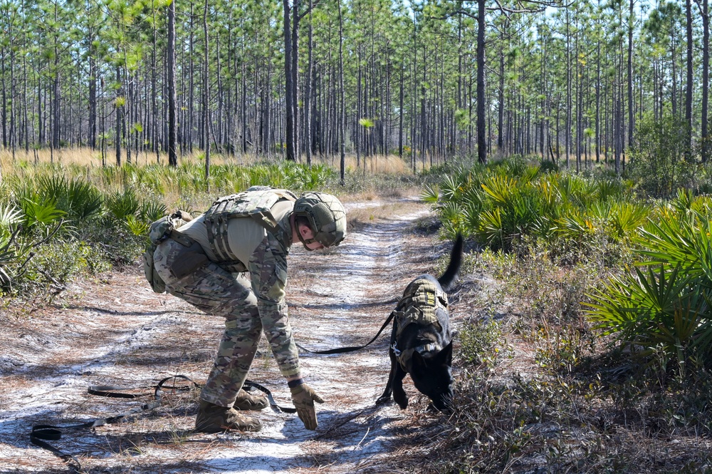 DVIDS Images MWD explosive training [Image 8 of 9]