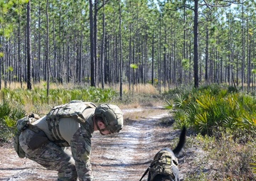 MWD explosive training