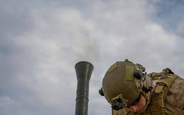 Marines with V2/4 and 3rd LAR conduct live fire mortar training at Range 106 while participating in SLTE 2-24