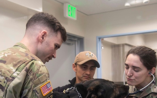 Newest Pacific Veterinary Treatment Facility Enhances Care, Strengthens Partnerships in Japan