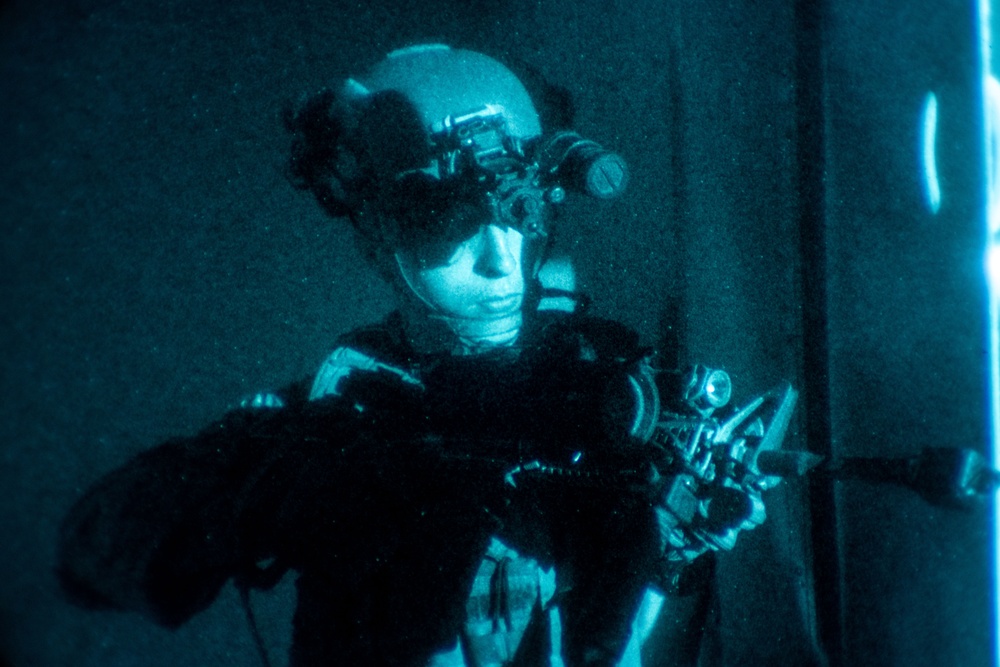 Alpha Co, BLT 1/5 Conducts Amphibious Raid during RUT