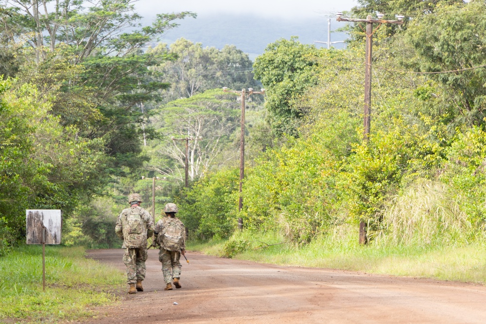 25ID, 8th TSC, 11th Airborne UMTs conduct FTX
