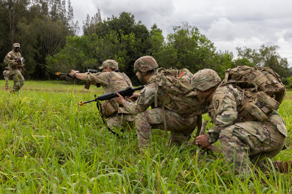 25ID, 8th TSC, 11th Airborne UMTs conduct FTX