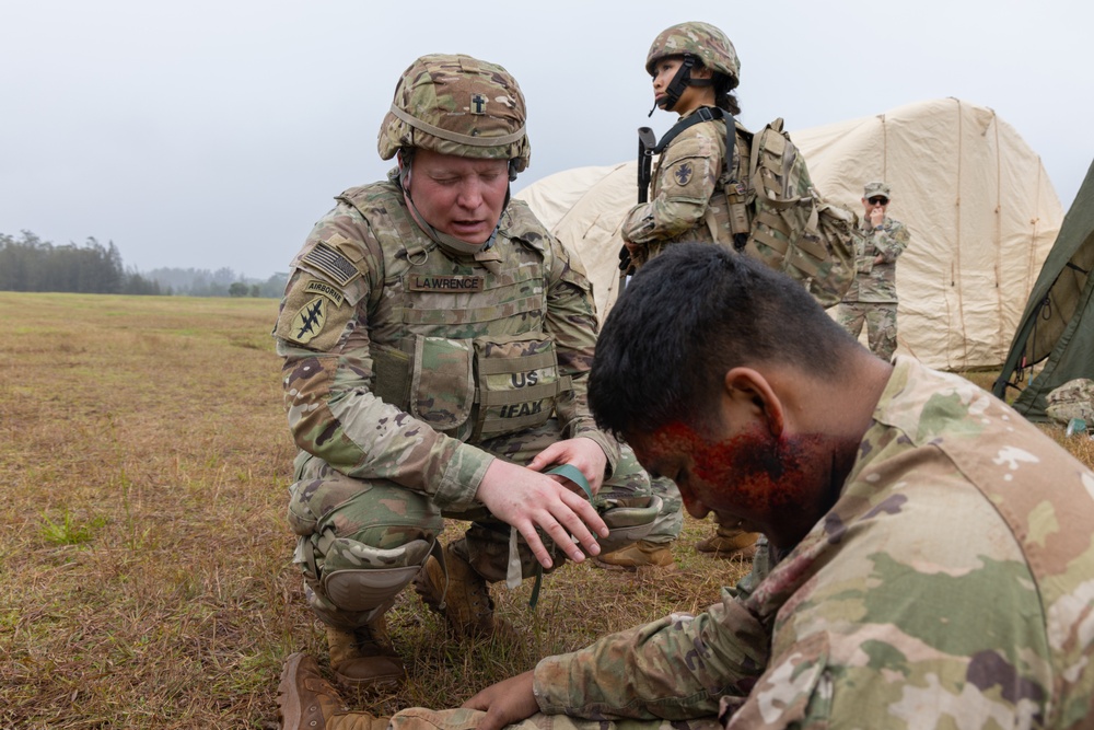25ID, 8th TSC, 11th Airborne UMTs conduct FTX