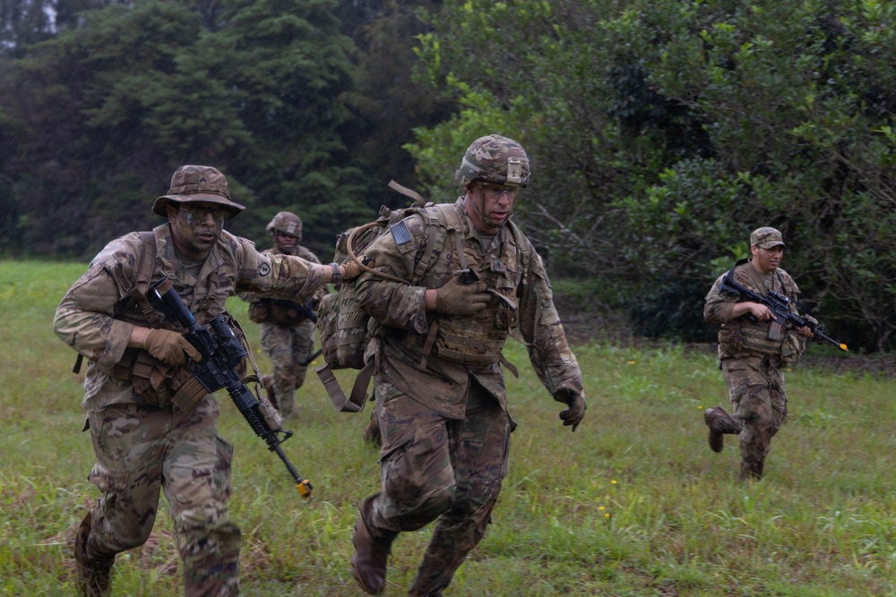 25ID, 8th TSC, 11th Airborne UMTs conduct FTX