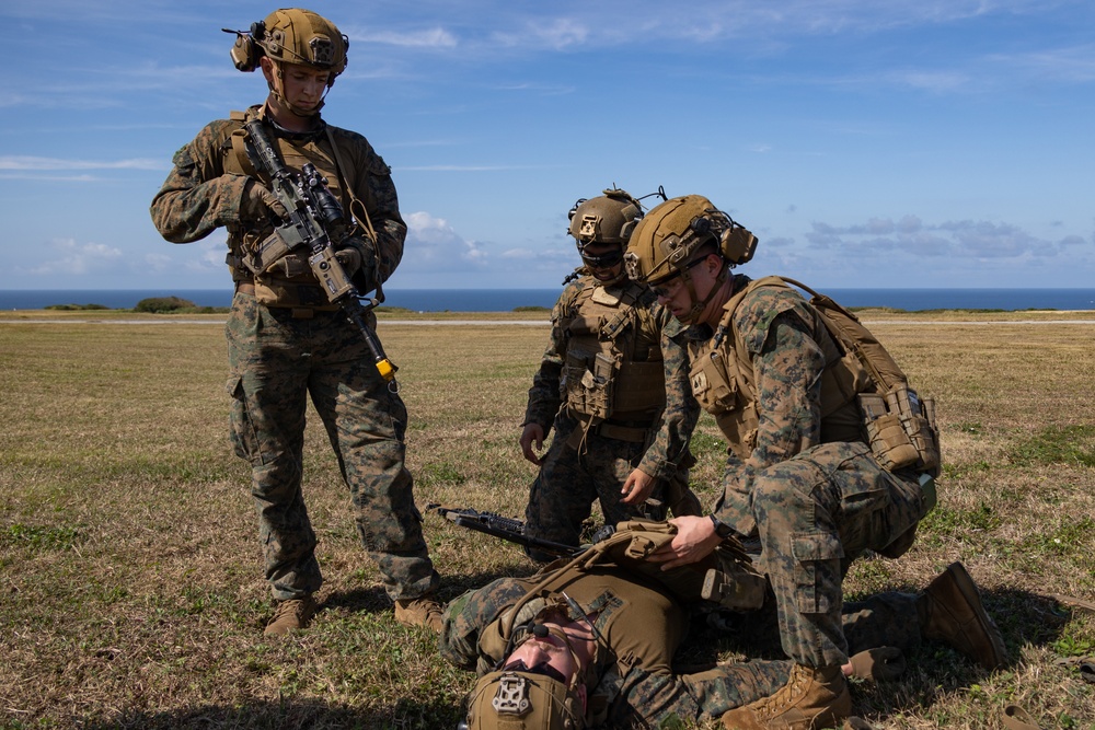 Battalion Landing Team 1/1 conducts helo raid exercise