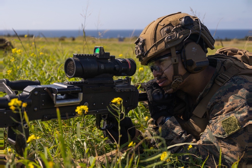 Battalion Landing Team 1/1 conducts helo raid exercise