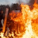 Fire Phobia Formation