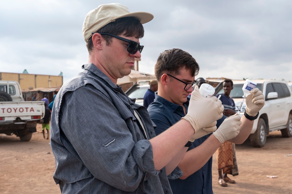 CJTF-HOA Promotes Herd Health In Djibouti