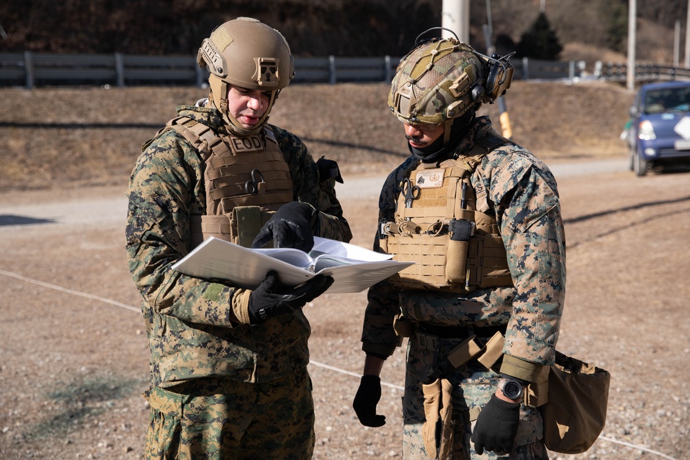 718th Ordnance Company EOD Team of the Year Competition