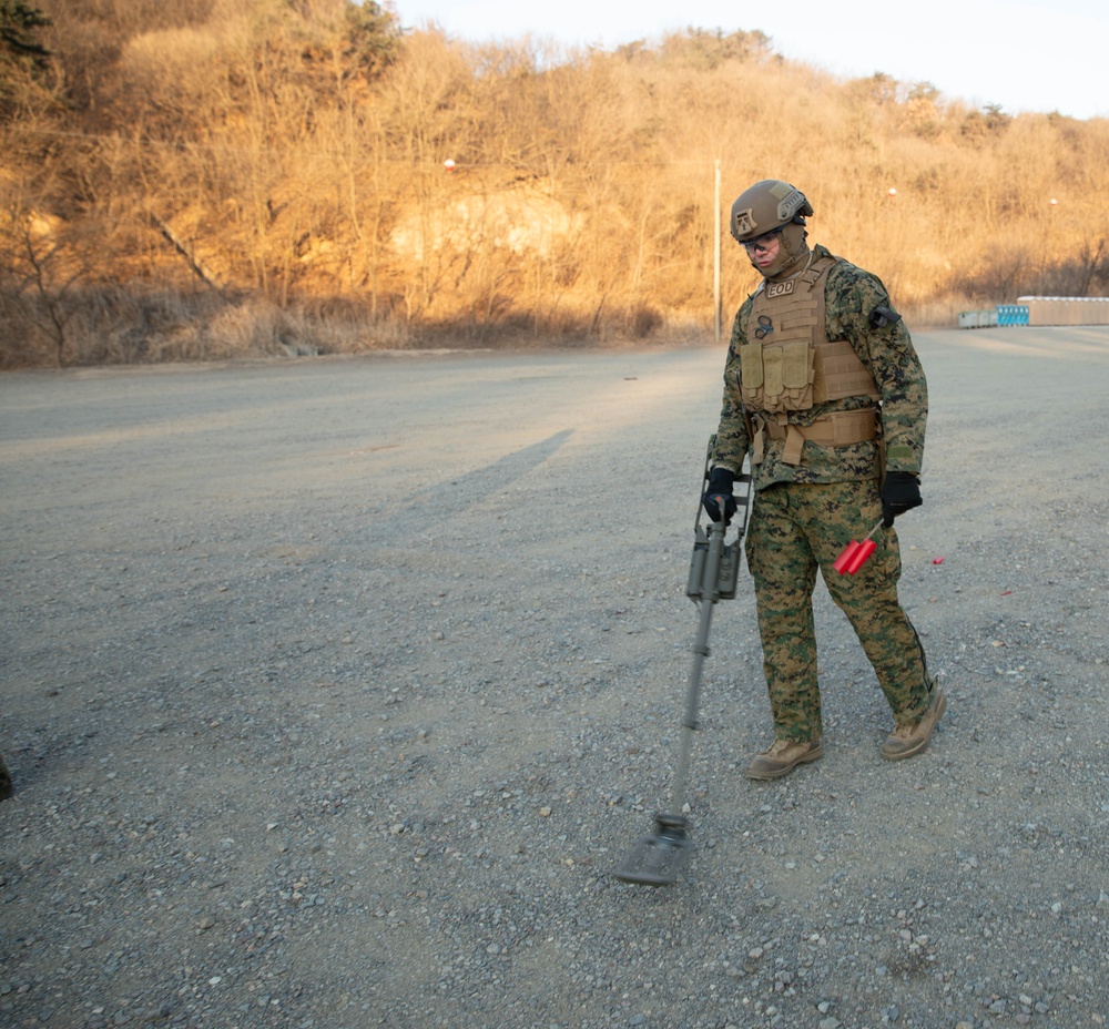 718th Ordnance Company EOD Team of the Year Competition