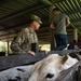 JTF-Bravo Vet Team supports Olancho