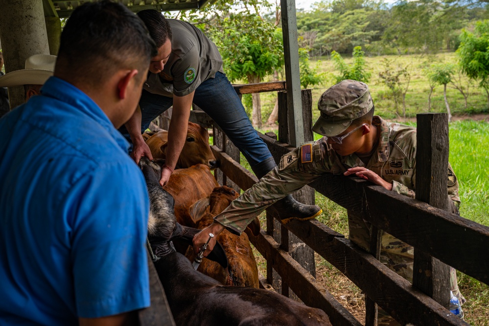 JTF-Bravo Vet Team supports Olancho