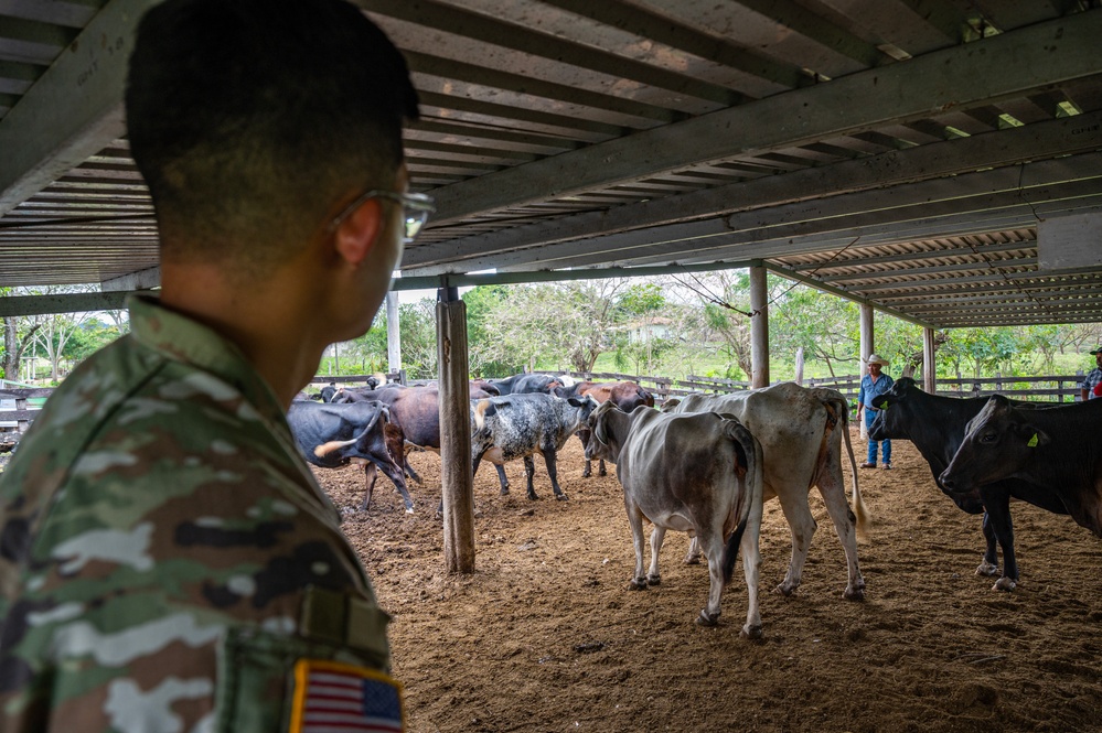 JTF-Bravo Vet Team supports Olancho