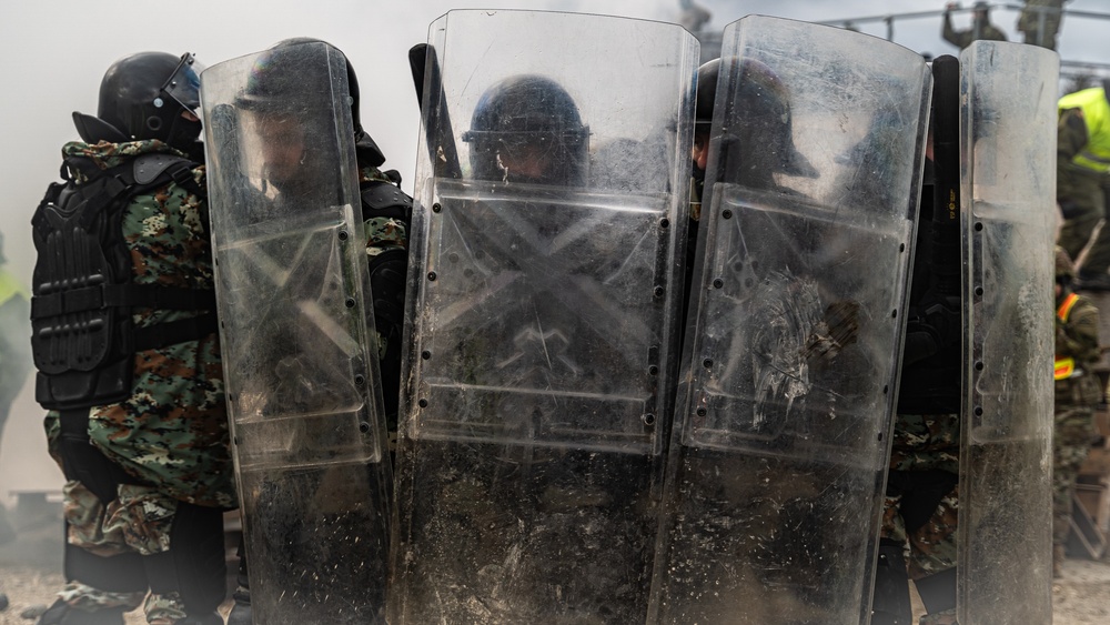 Crowd Riot Control