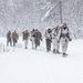 CLB-6 Participates in Polar Plunge as Part of Extreme Cold Weather Training Course