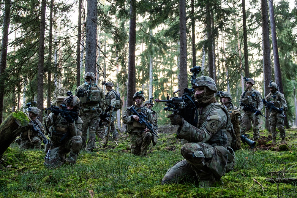 2nd Cavalry Regiment, 2nd Squadron | Simulated Training Exercise