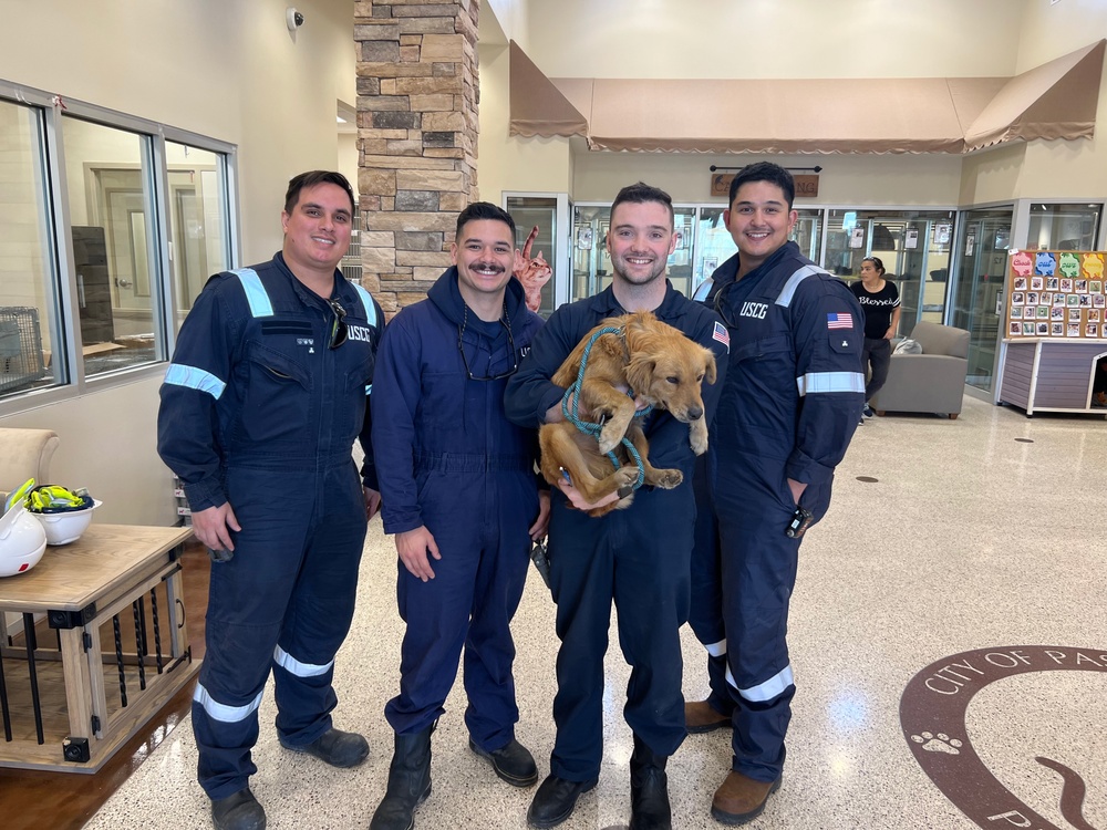 Coast Guard marine inspectors rescue dog from shipping container in Seabrook, Texas