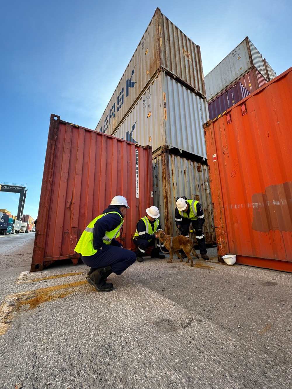 Coast Guard marine inspectors rescue dog from shipping container in Seabrook, Texas