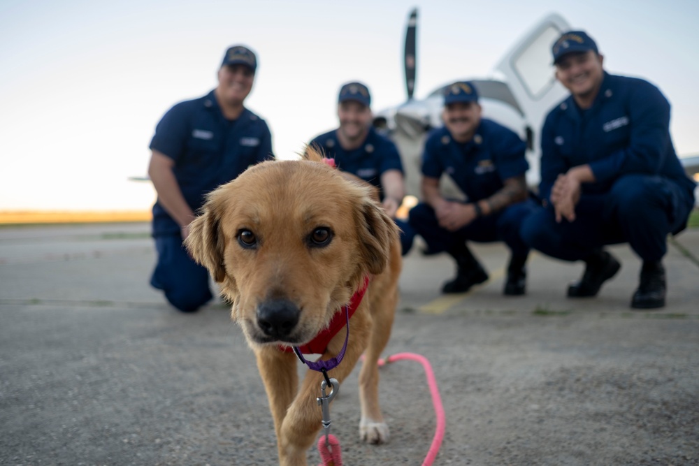 Coast Guard members reunite with dog they rescued