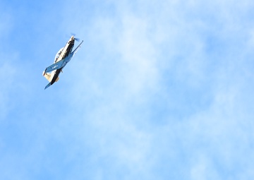 Laughlin's flight line