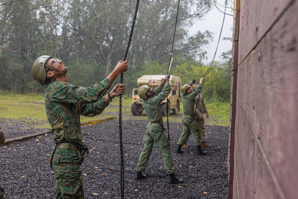 Air Assault: Rappel Tower