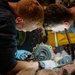 Marines Conduct ACV Maintenance Aboard USS Harpers Ferry