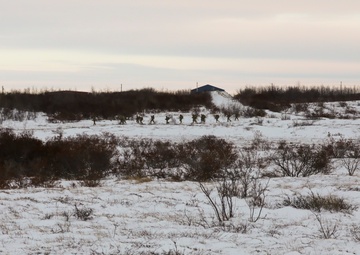 Bison Company’s cold weather training triumphs in Bethel