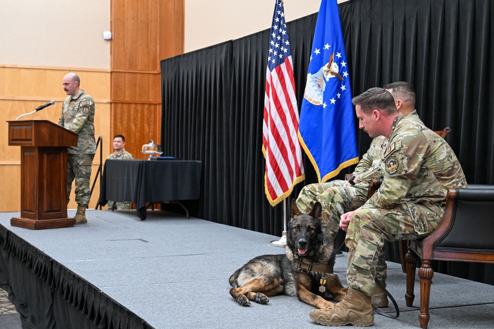 Eight-year-old MWD honorably retired at Hill AFB