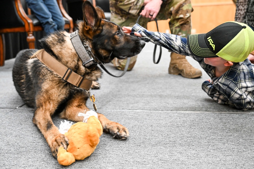 Eight-year-old MWD honorably retired at Hill AFB