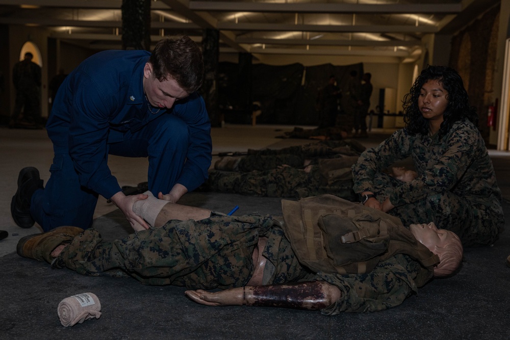 Tactical Combat Casualty Care