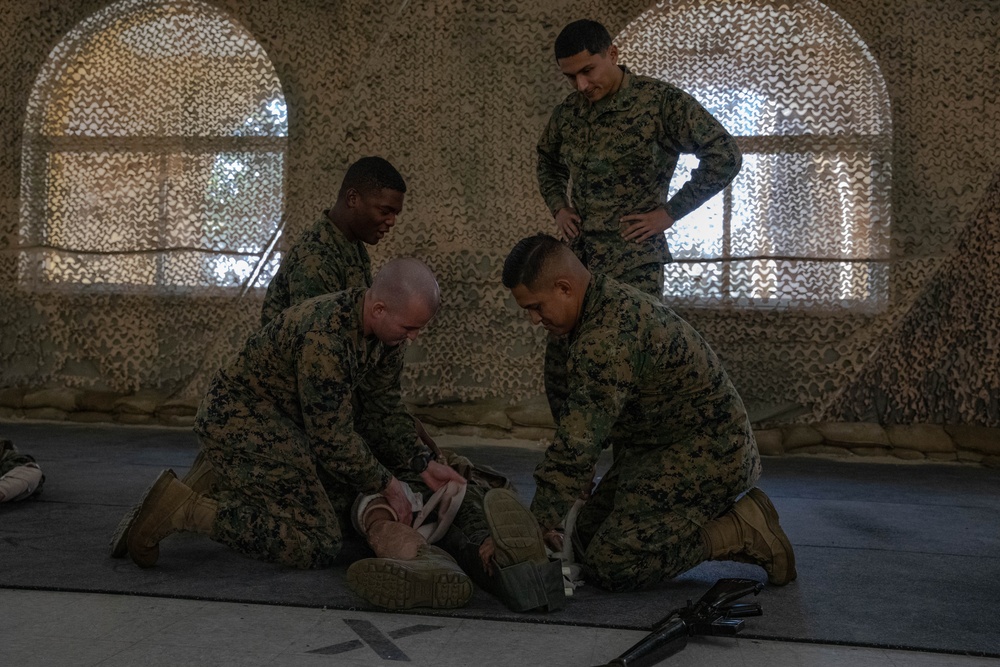 Tactical Combat Casualty Care