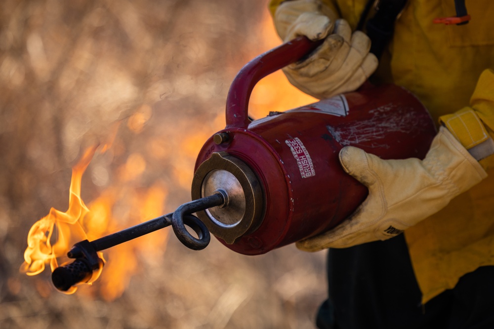 Quantico Firefighters Conduct Controlled Burn