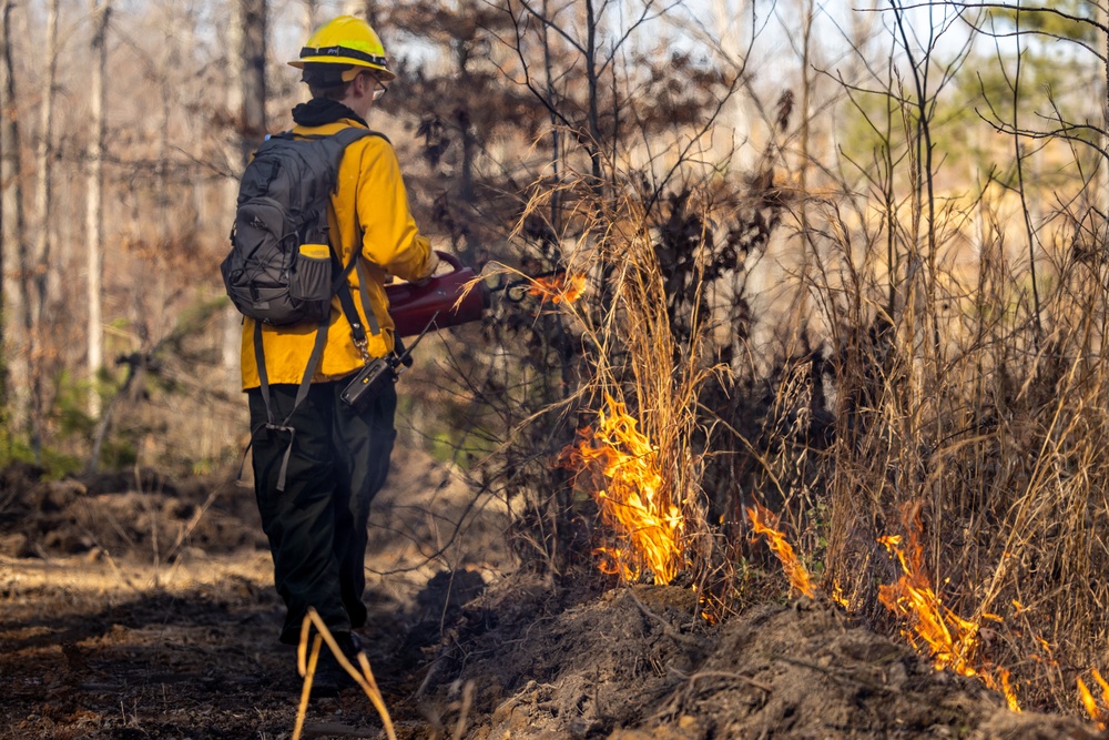 Quantico Firefighters Conduct Controlled Burn