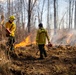 Quantico Firefighters Conduct Controlled Burn