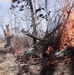 Quantico Firefighters Conduct Controlled Burn