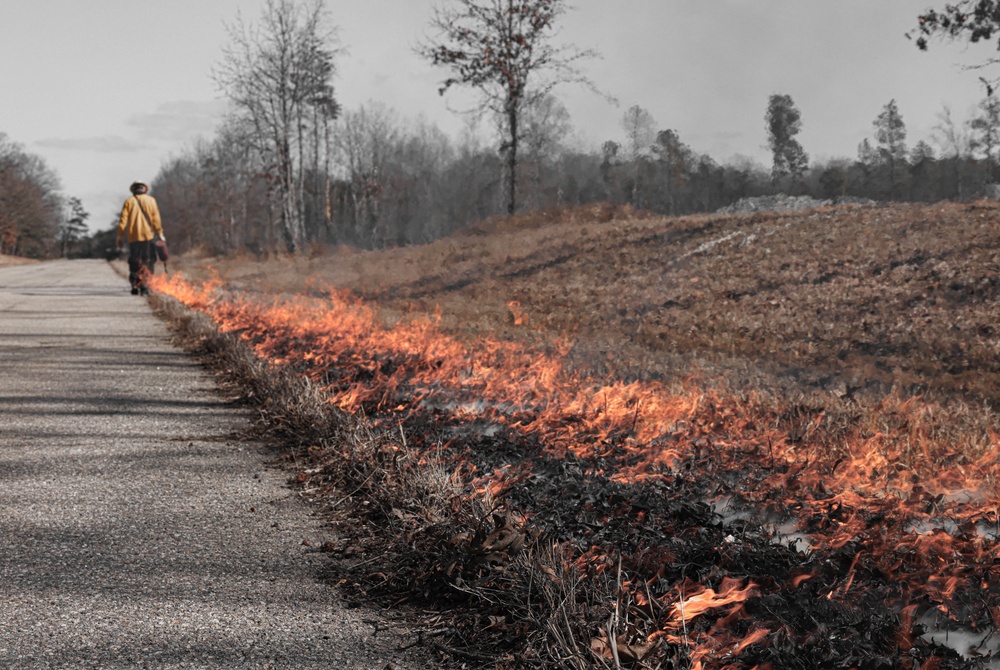 Quantico Firefighters Conduct Controlled Burn