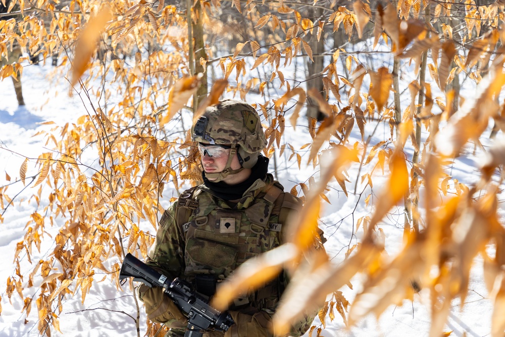 10th Mountain Division Conducts Combined-Arms Live-Fire Exercise