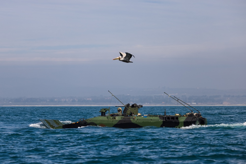 3rd AA Bn. conducts ACV launch, recovery drills