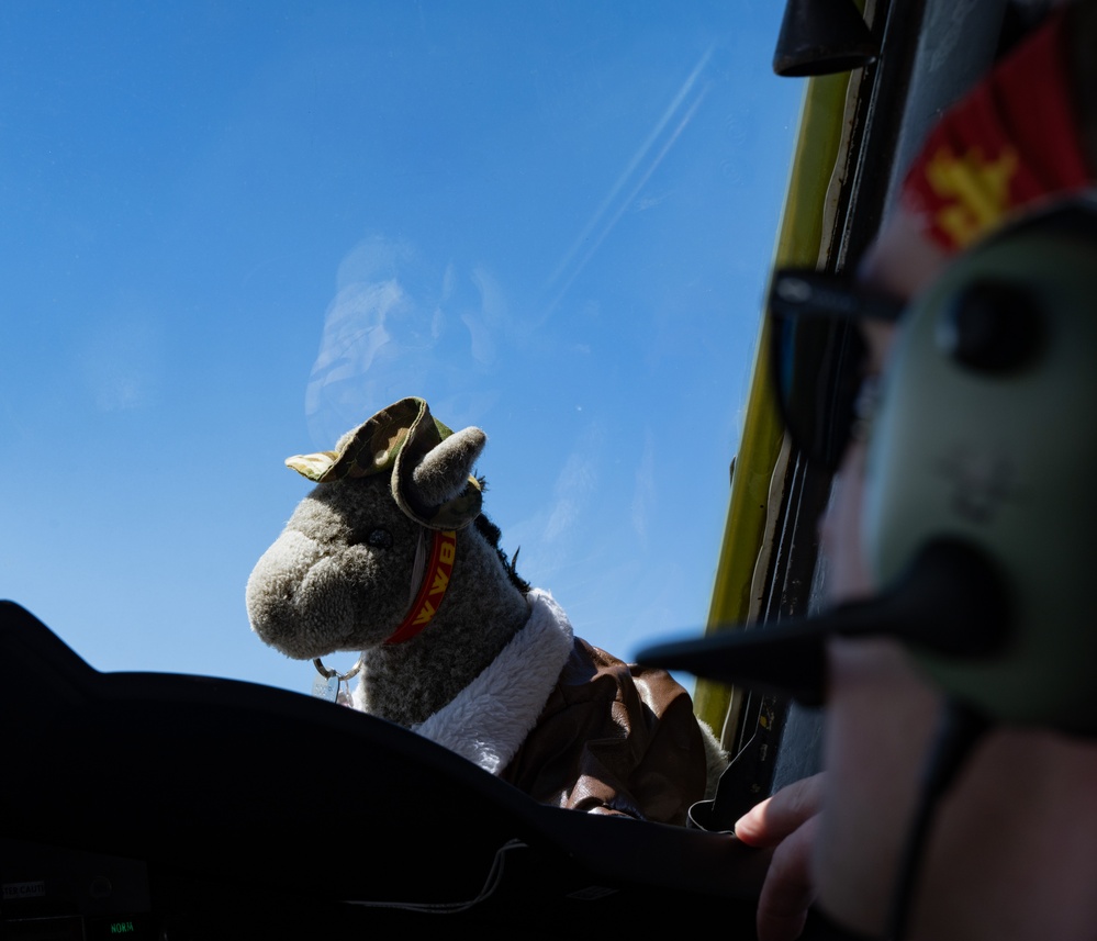 BTF flies over the Pacific Ocean