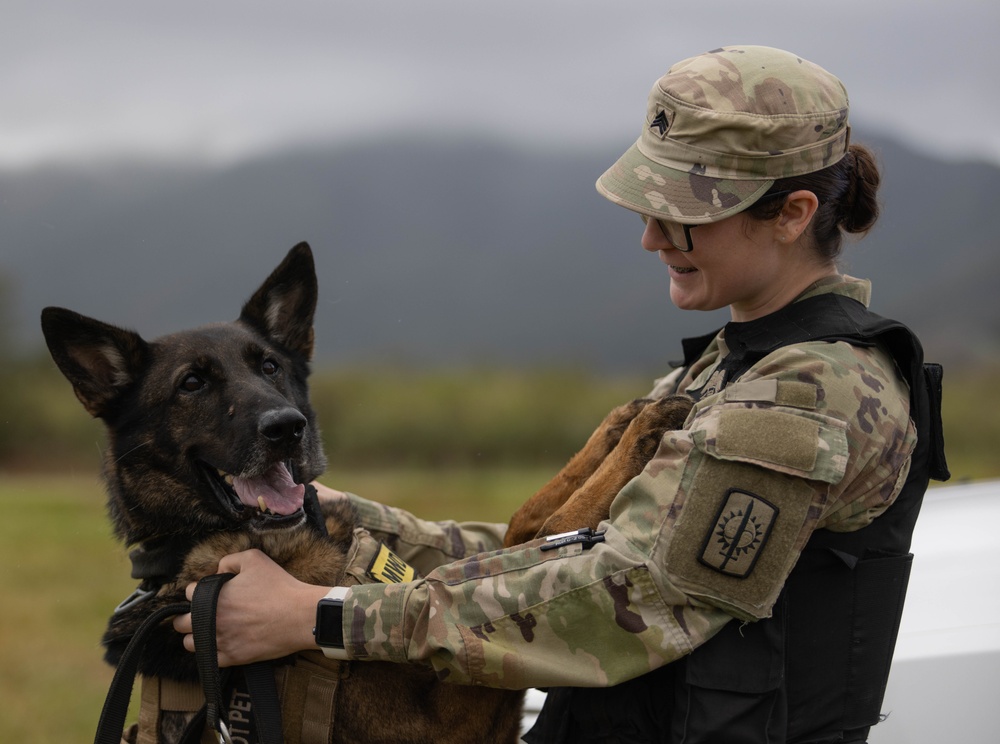 8th Military Police Military Dog Handler