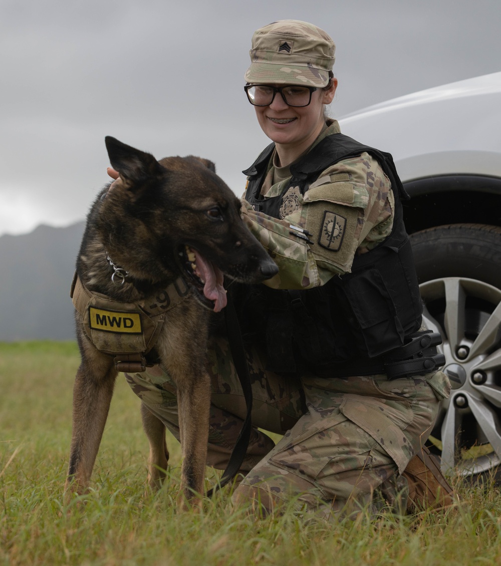 8th Military Police Military Dog Handler