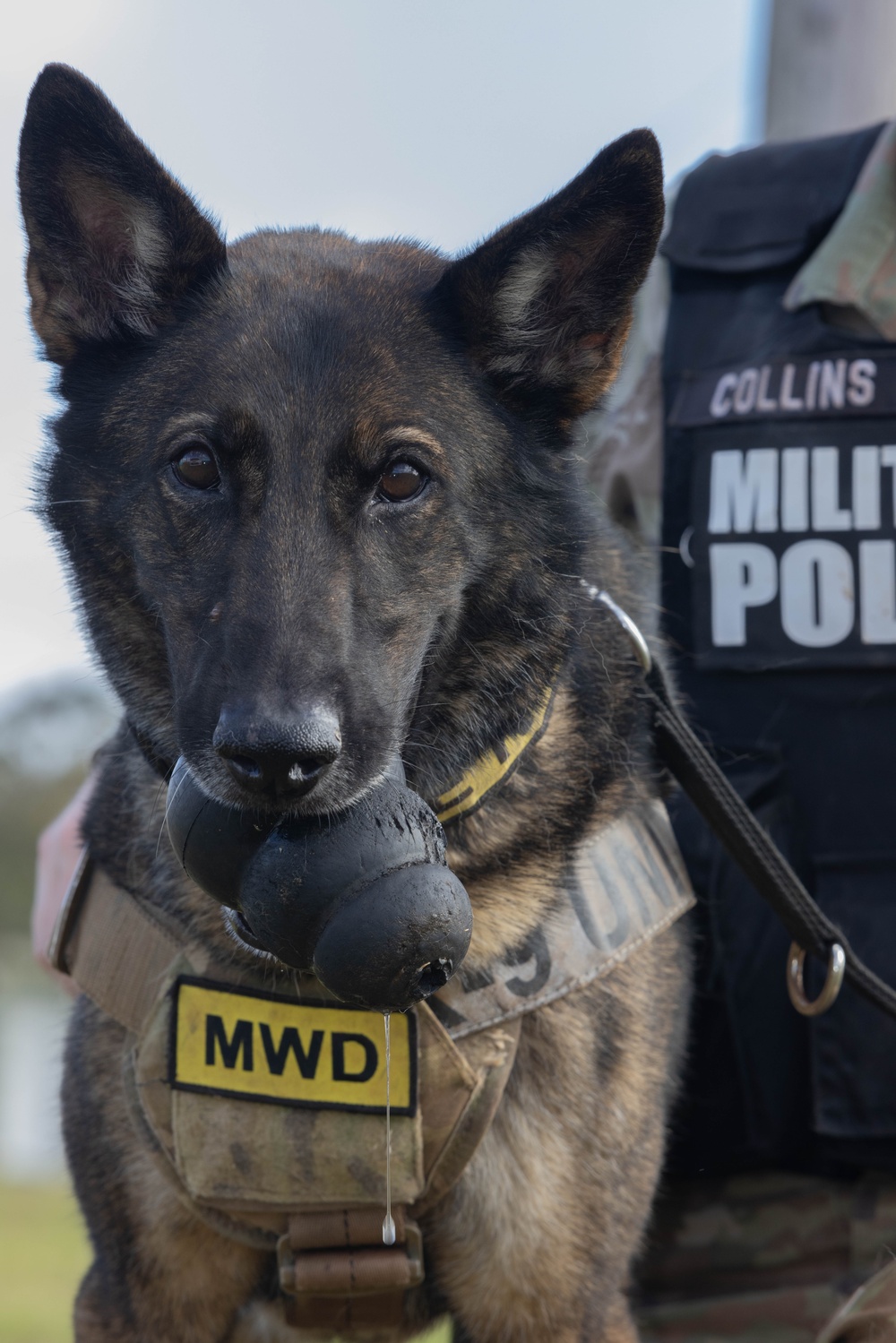 8th Military Police Military Dog Handler