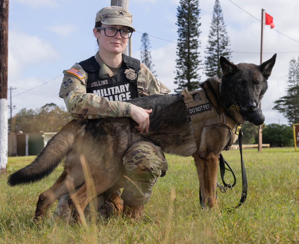 8th Military Police Military Dog Handler